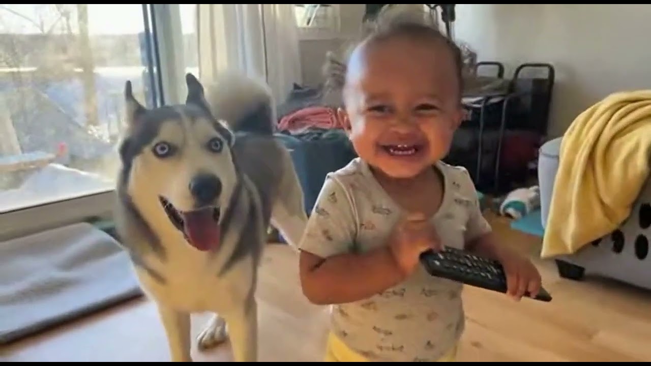 Baby and Husky Having Fun Together 🥰🐾 | Cutest Friendship Ever Caught on Camera