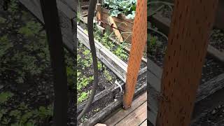 IMG 3836