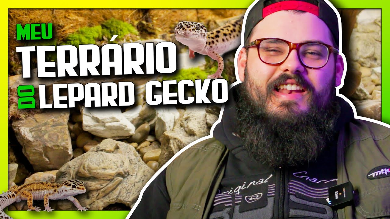 Terrário para LEOPARD GECKO - Como montei o recinto da minha LAGARTIXA LEOPARDO - Biólogo Tai