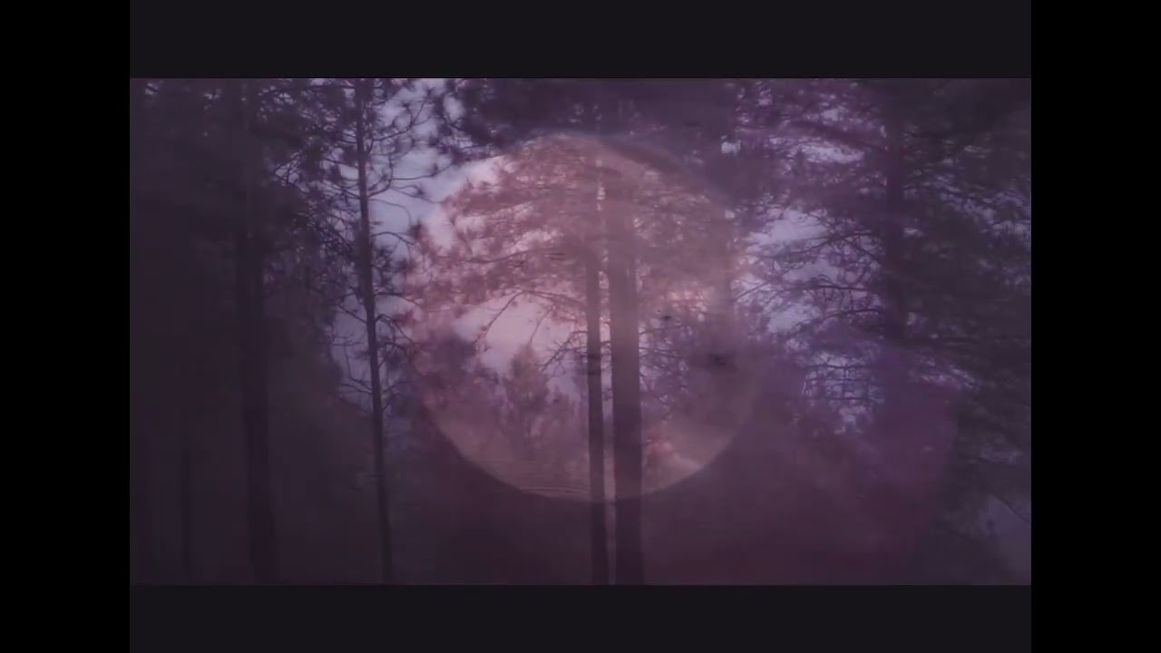 The Fog - Mount Hide