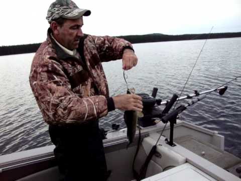 lac albanel peche