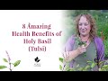 Holy Basil Benefits | Benefits of Tulsi | Ocimum sanctum