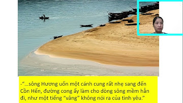 cùng học văn học với  nguyễn loan 3