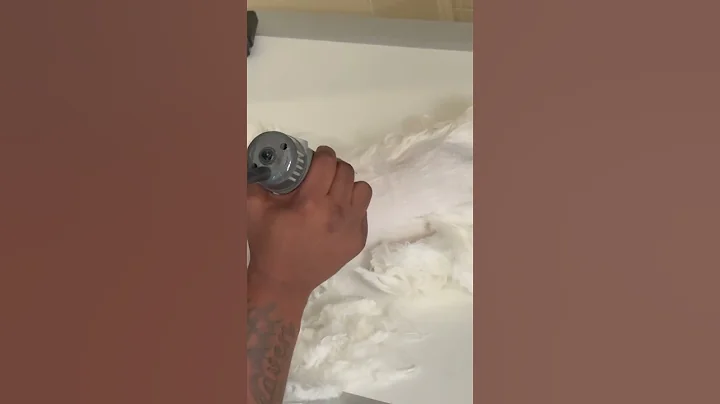 Watch the video about White Persian cat lion cut grooming