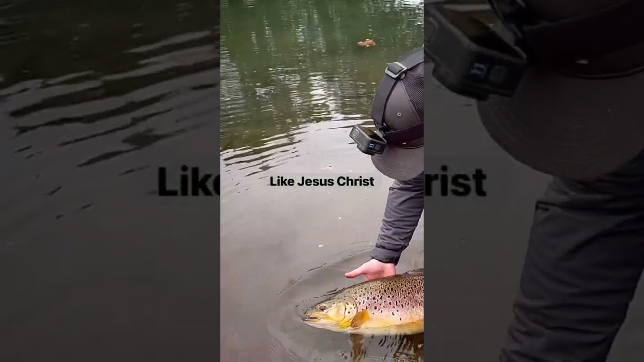 Joe We Call It “Catch And Release” #shortsvideo #flyfishing #fishing #joerogan #podcast