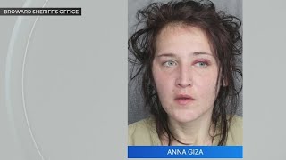 New details revealed from the suspect of a police persuit at Turnpike that ended in a deadly crash