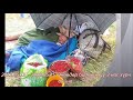 Даруухан Гоо Daruukhan Goo Даруухан Гоо Daruukhan Goo