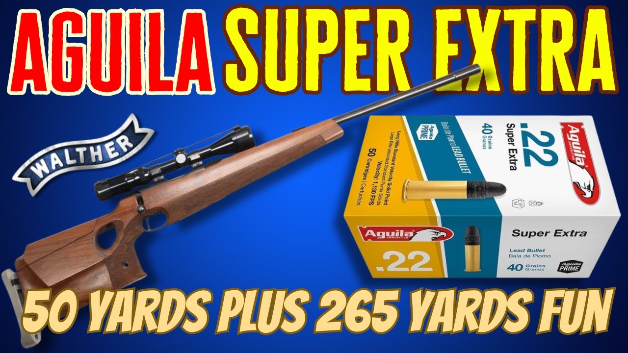 Тестирую Aguila Super Extra в своём Walther KK100 — точность на 50 ярдов и провал на 265 ярдов 😅