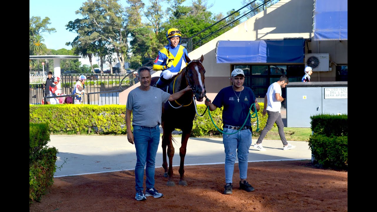 Especial Haras Firmamento 2026 - Talento Emergente (Hurricane Cat)