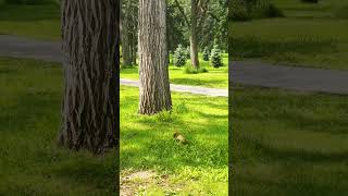 Borden Park, Edmonton Alberta:City Break, Nature In😊