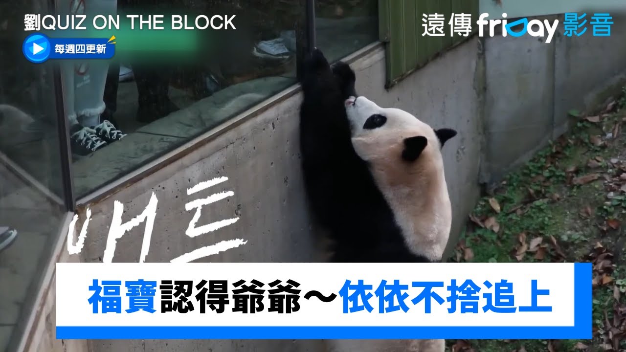 心永遠都在！福寶認得爺爺～依依不捨追上_《劉QUIZ ON THE BLOCK》第195集_friDay影音韓綜線上看