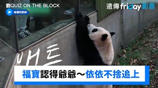 心永遠都在福寶認得爺爺依依不捨追上_《劉QUIZ ON THE BLOCK》第195集_friDay影音韓綜線上看