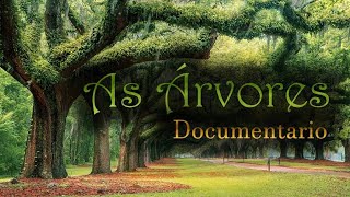 As Árvores Documentário Dublado
