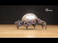 Hexapod: Best of Dance 2009