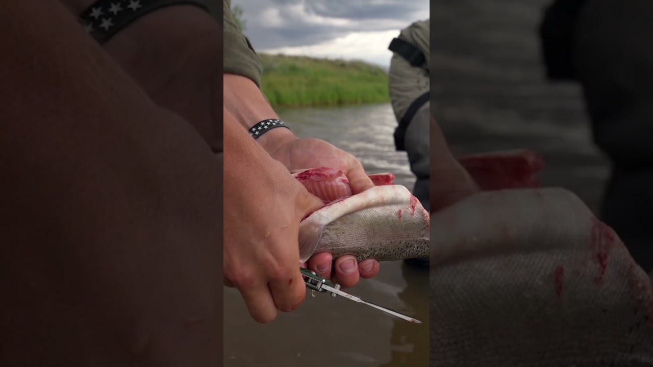 Tonight's the night! POW femme-led virtual Stoke Fest kicking off at 6:30 p.m. MT, join us!