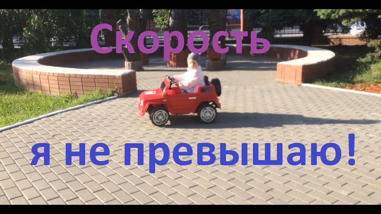 Моль в машине