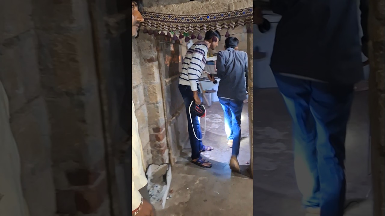 Indian Spectacle Cobra 