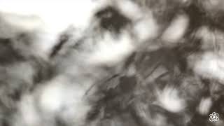 Atom 3 By Sleeping At Last