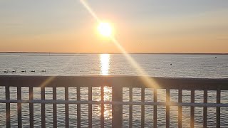 Cancer Journey update. Jeff will change all this later.  