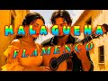 Magical Flamenco Guitar: A Spanish Serenada 🌙Emotional Musical Escape