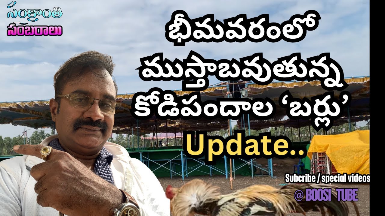 భీమవరంలో ముస్తాబవుతున్న కోడిపందాల బర్లు అప్డేట్.