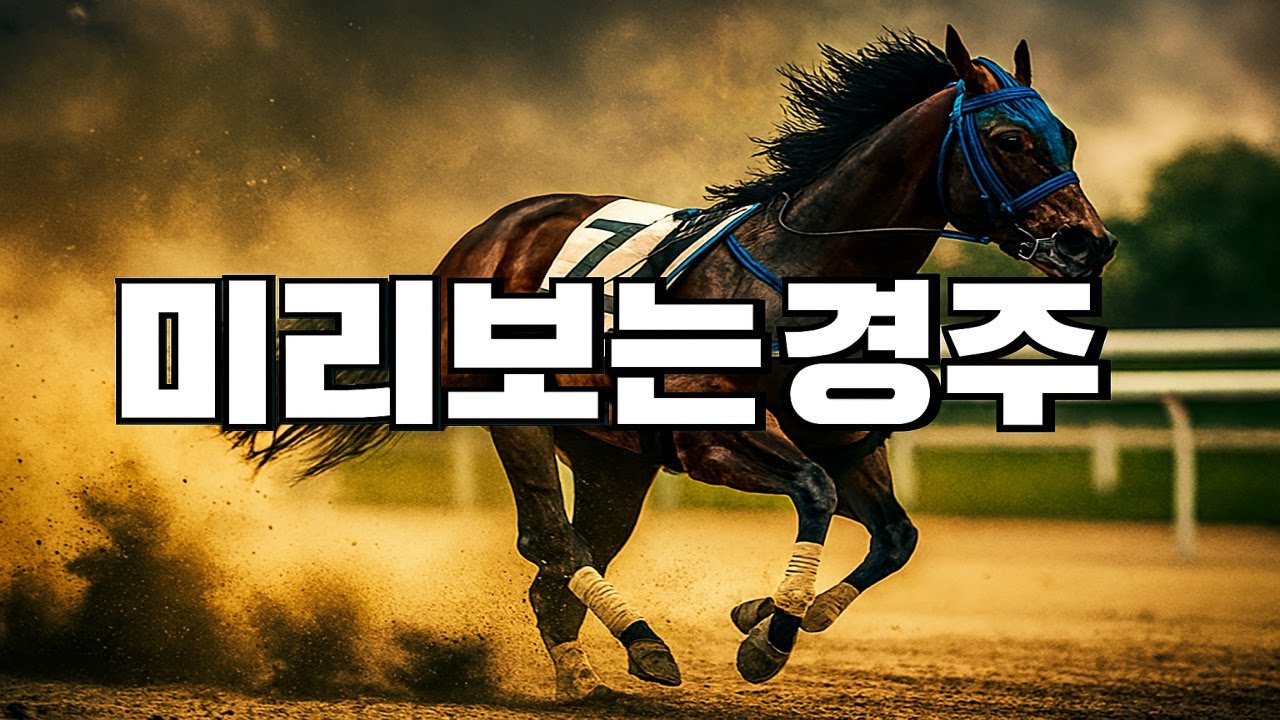 12월6일토요3경주풀어쓰기