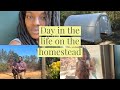 Day in the life on the homestead | building a greenhouse