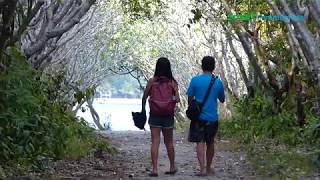 Tourism goes digital with the Antique Guide app screenshot 4