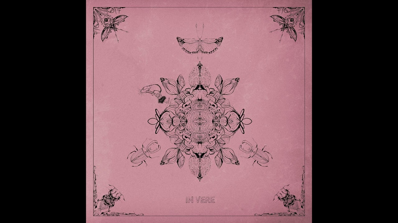 JAKOJAKO & RØDHÅD - PATULA - WSNWG009