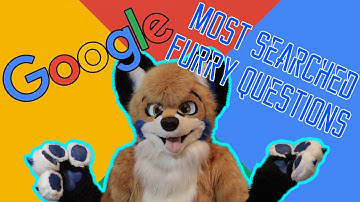 MOST ASKED FURRY QUESTIONS - Google Autocomplete