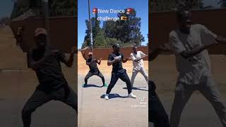 Gigi lamayne ft okyeame kwame u0026 holy ten  qoqo amapiano holy10 qoqodancechallenge okyeamekwame