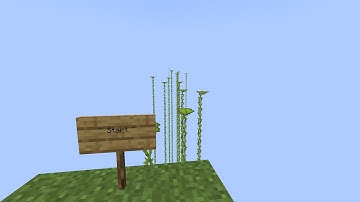 Minecraft 1.17 Dripleaf Parkour 2.0