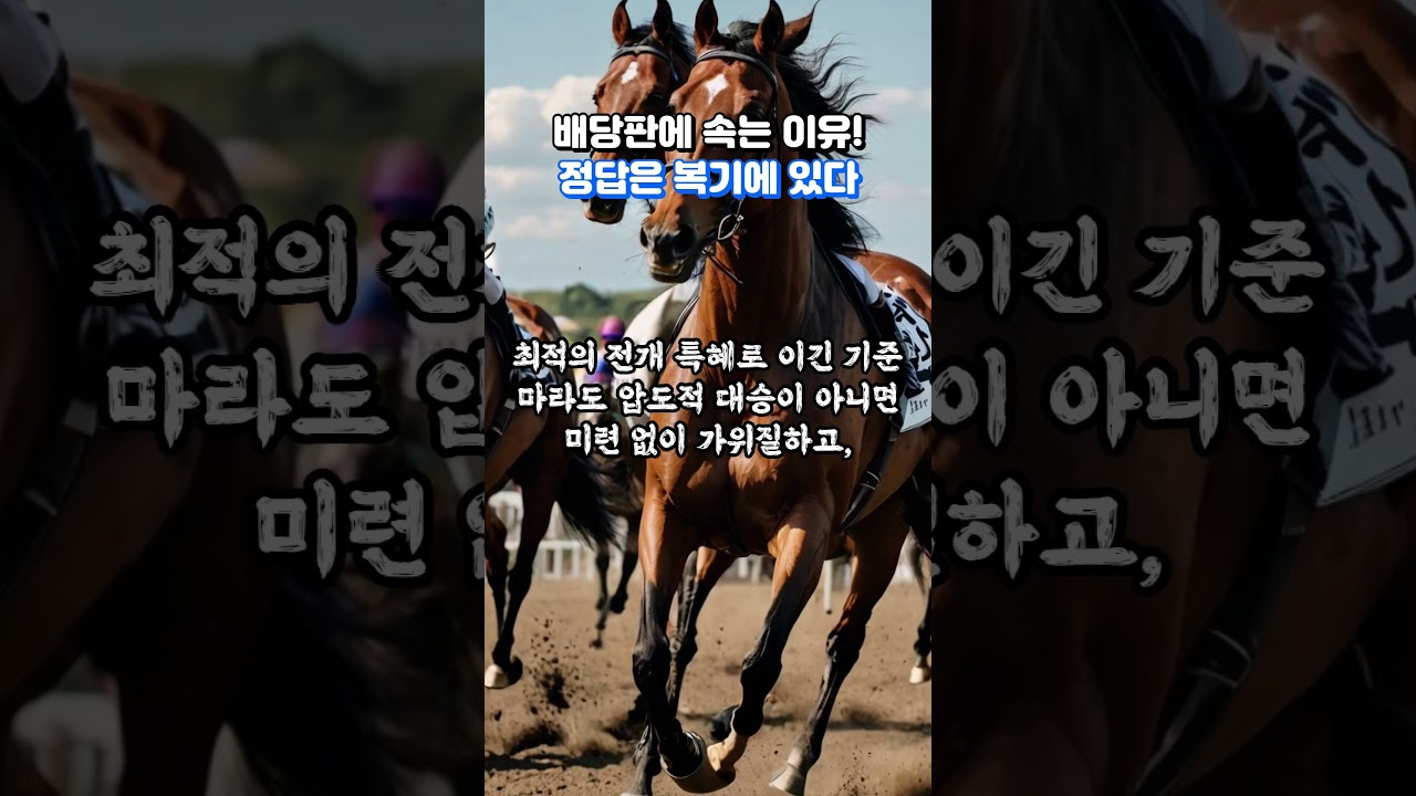 경마 배당판에 속는 이유! 정답은 복기에 있다