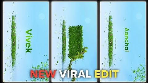 New Instagram Name Reels Status Editing !! Alight Motion Editing !! Flying Leaves Name Video Editing