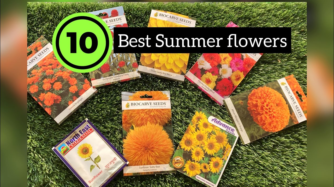 मार्च और अप्रैल में जरूर लगाएं ये 10 फूलों के बीज / 10 Best flower to