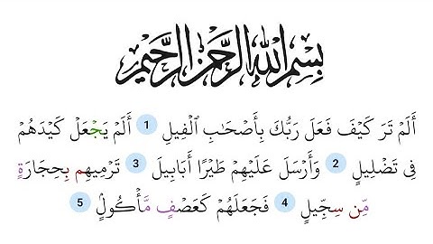Surah Al-Fil (105) The Elephant |تلاوة سورة الفيل من القرأن الكريم