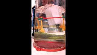 CUAUV Soft Pneumatic Actuator Test