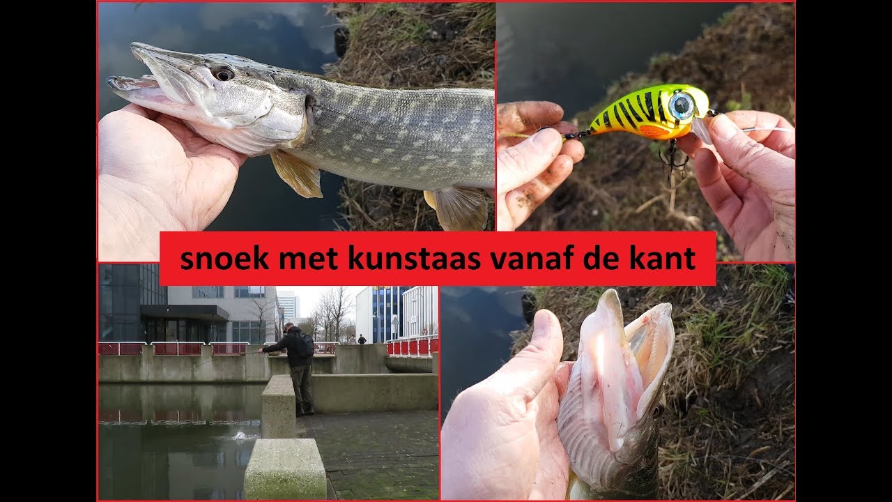 Snoek met kunstaas vanaf de kant. YouTube