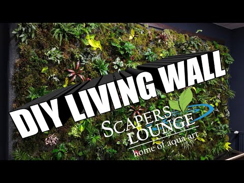 Video: Living Wall Garden – Schaffen Sie eine lebendige Pflanzenwand für den Innenbereich