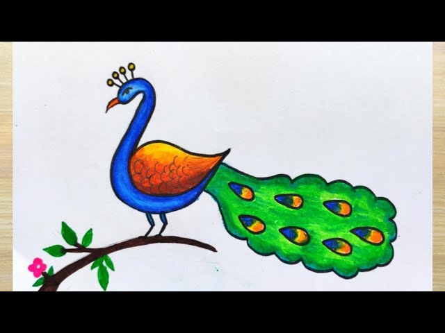 HD peacock drawing wallpapers | Peakpx