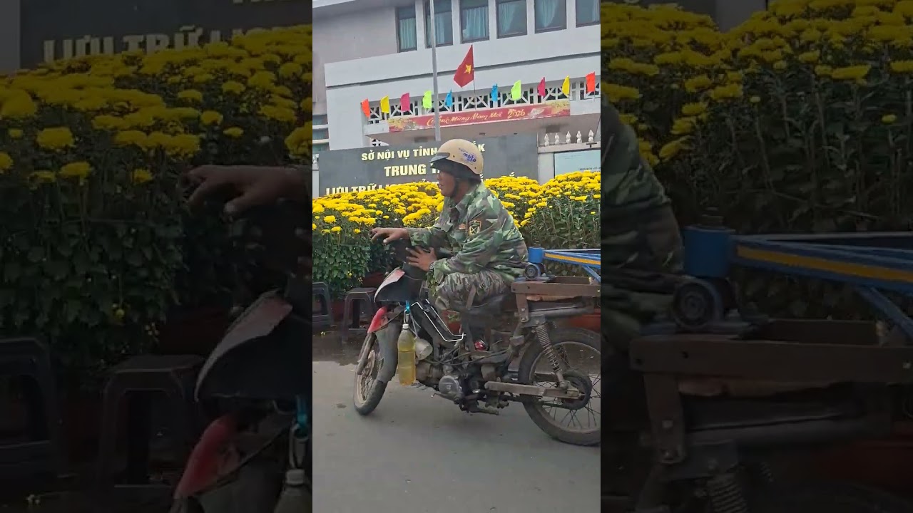 HOA TẾT Ở TUY HÒA, PHÚ YÊN CHIỀU 23 THÁNG CHẠP NĂM NAY