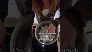 15+1 Kedi İle Yaşamak #keşfet #kedi #kediliev #hayvansevgisi #kedivideoları #cats