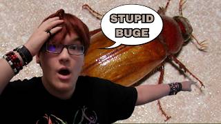 Why June Bugs Suck at Flying