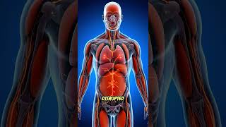 What Overtraining Is Really Doing Inside Your Body