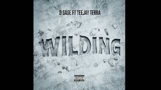 Wilding - D sage ft teejay terra (prod by teejay terra)