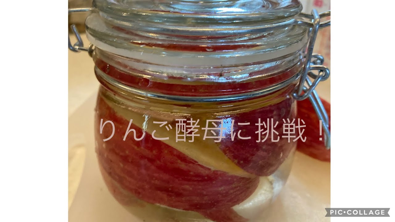 りんご酵母の仕込み いぬの手作りご飯 犬の手作りごはん 犬の手作り食 犬ご飯 自然治癒力 うちのコご飯 Youtube