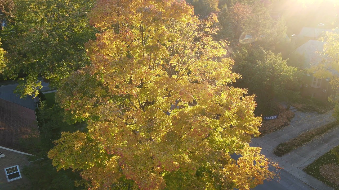 Meridian Kessler Fall Colors