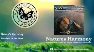 Nature's Harmony - Moonlight on the Water