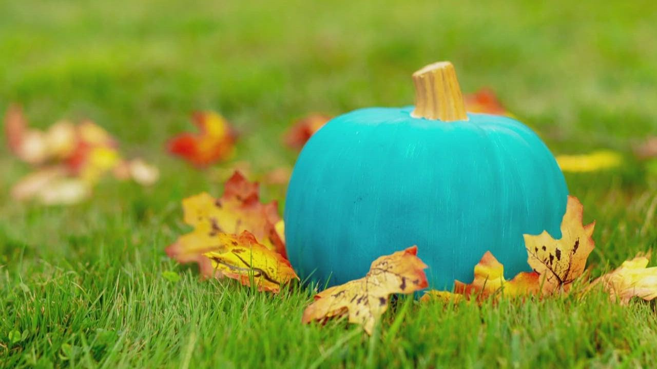 What Does Having A Teal Pumpkin Mean