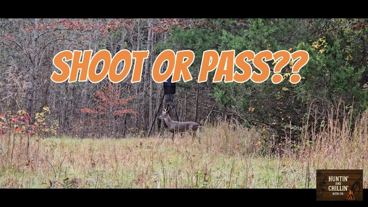 Did I Shoot or Pass?? | 2025 MS Private Land Hunting